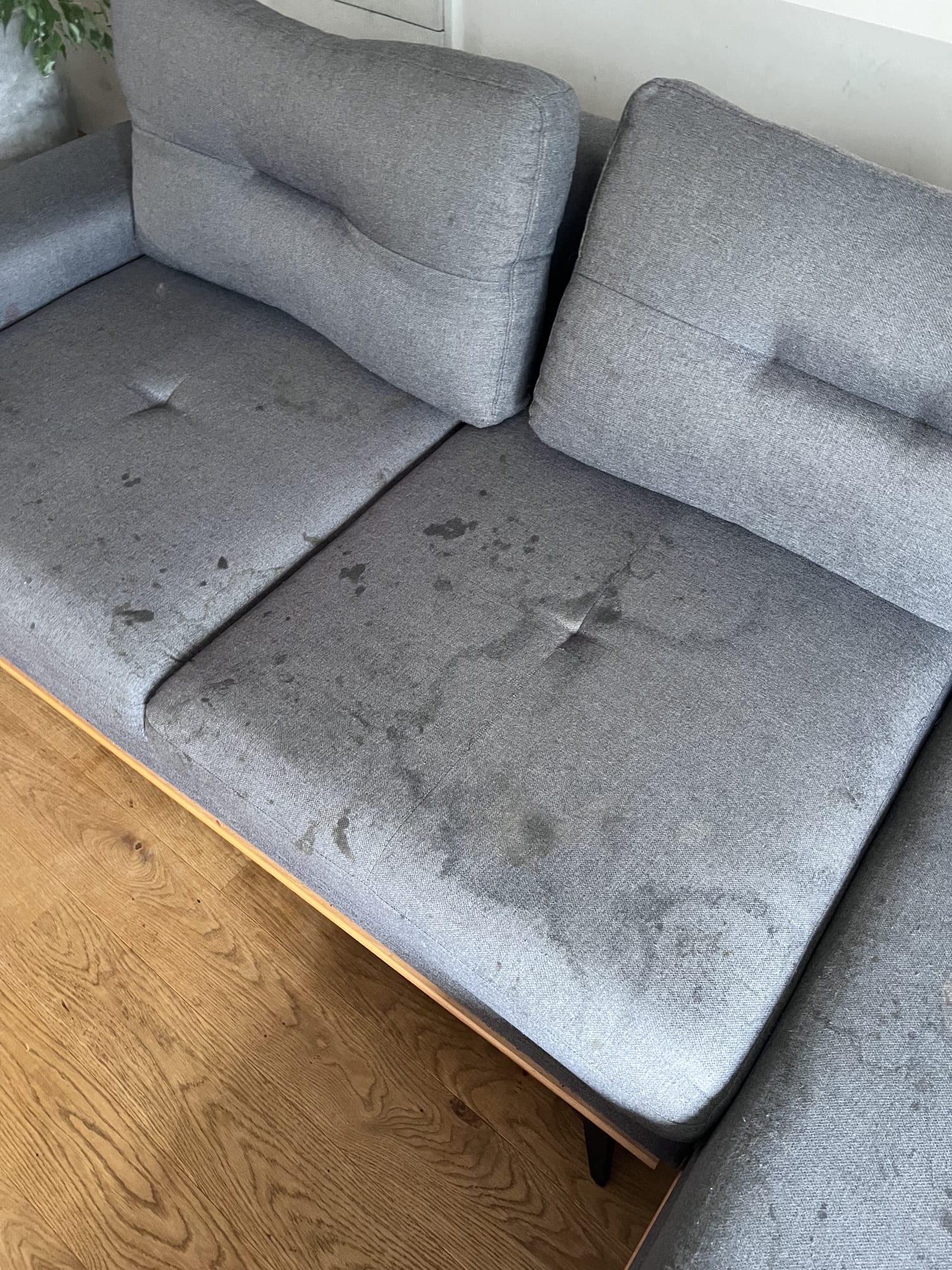 Zdjęcie wpisu blogowego firmy Nclean